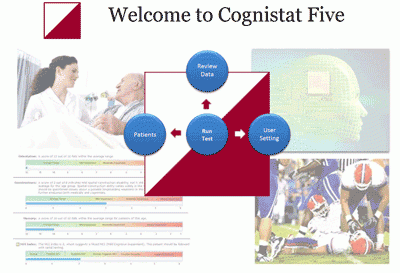 Cognistat Assessment System